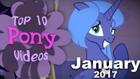 爆料小马视频1,独家爆料背后的真相与内幕