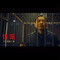 在线观看真相,在线观看背后的真相